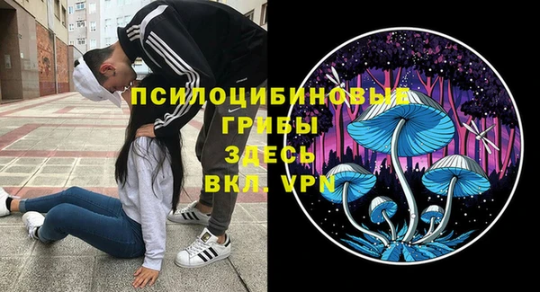 молекула духа Алзамай