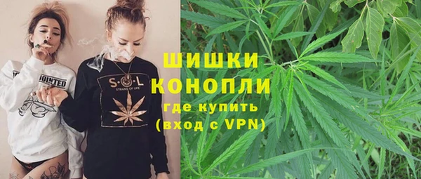 молекула духа Алзамай