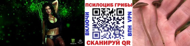 Псилоцибиновые грибы ЛСД  mega ONION  Бабаево  дарк нет клад  хочу  